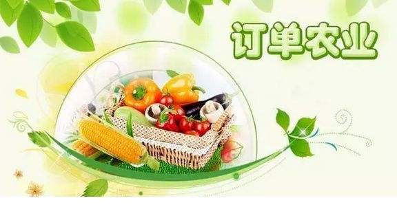 订单农业.jpg 订单农业.jpg