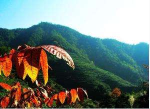 秦望山景色.jpg 秦望山景色.jpg
