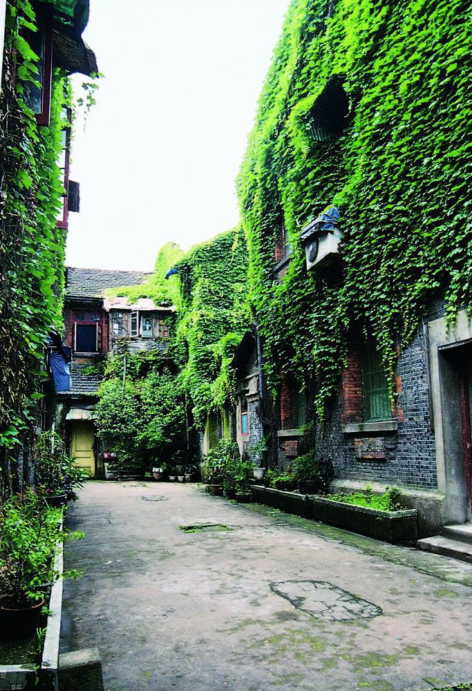恰丰里 (1).jpg 恰丰里 (1).jpg