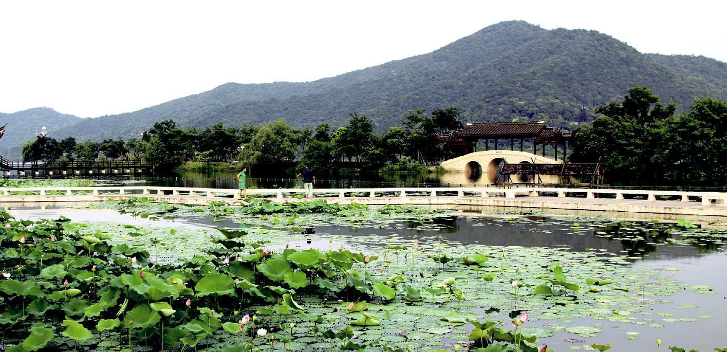 湘湖荷塘小景 傅金祥摄.jpg 湘湖荷塘小景 傅金祥摄.jpg