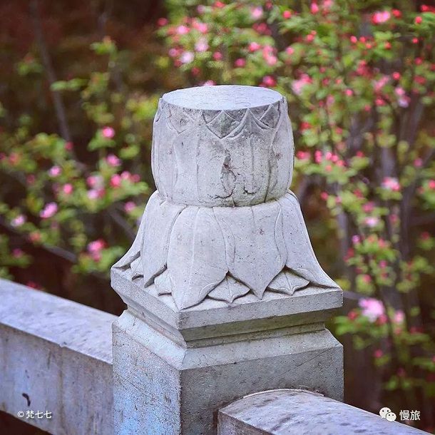 映波桥、锁澜桥、望山桥、压堤桥、东浦桥、跨虹桥 映波桥、锁澜桥、望山桥、压堤桥、东浦桥、跨虹桥