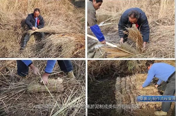 良渚,良渚水利,良渚先民,良渚古城,水利系统 良渚,良渚水利,良渚先民,良渚古城,水利系统