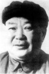 时任杭州市人民政府市长江华江华.jpg 时任杭州市人民政府市长江华江华.jpg
