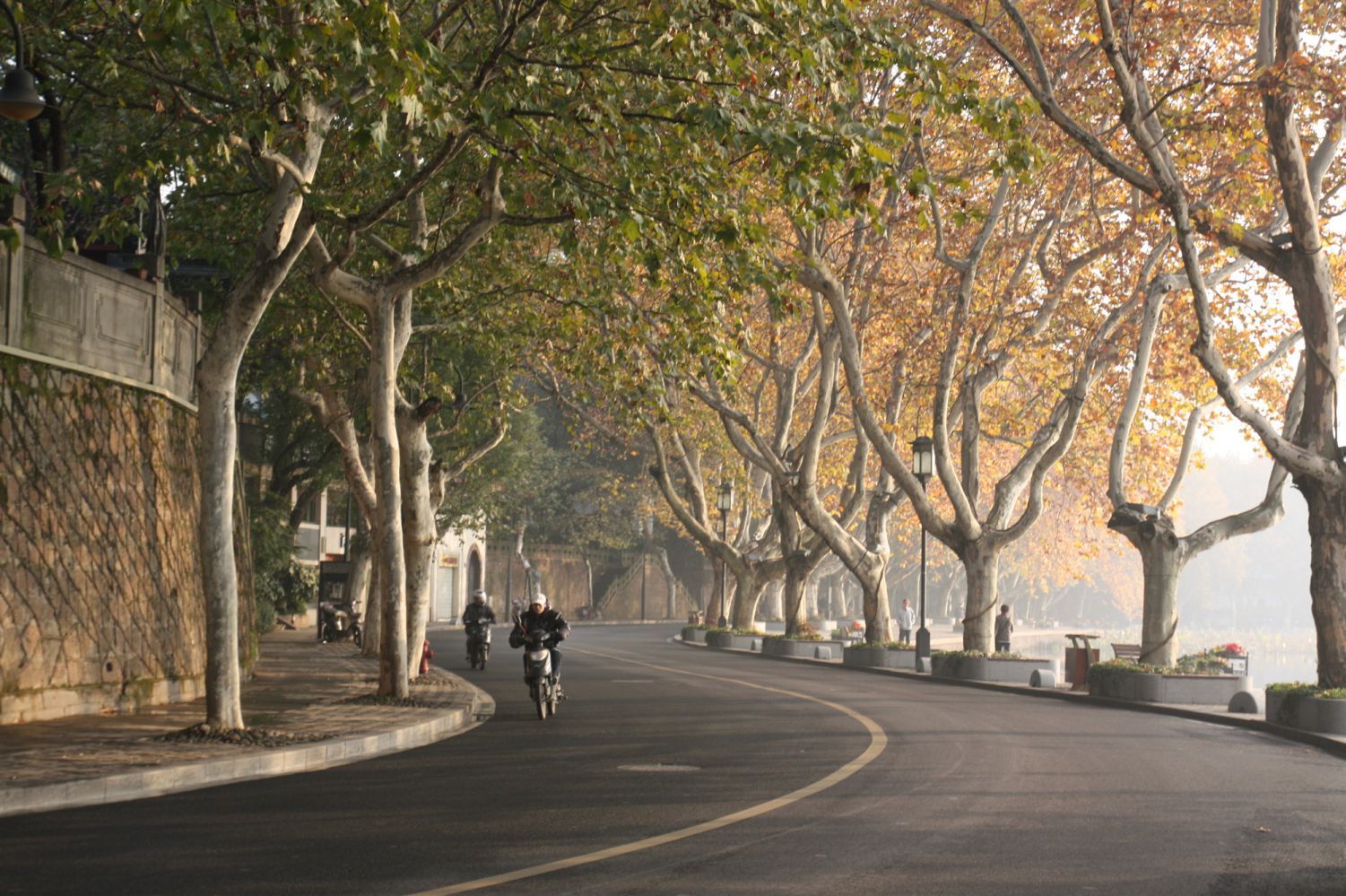 北山街秋景.jpg 北山街秋景.jpg