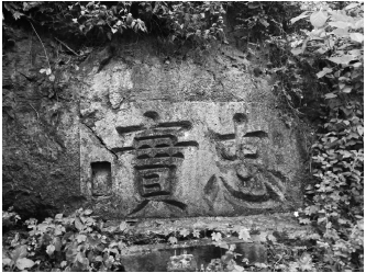 宋高宗凤凰山忠实题刻.jpg 宋高宗凤凰山忠实题刻.jpg