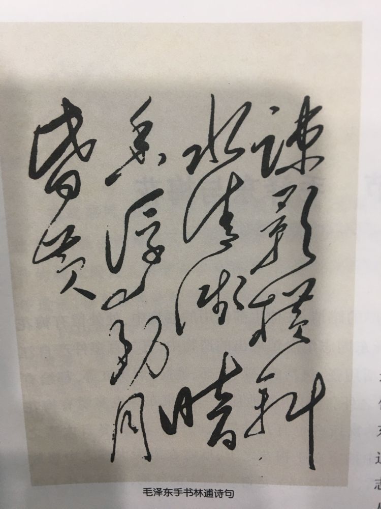 毛泽东手书林逋诗句.jpg 毛泽东手书林逋诗句.jpg