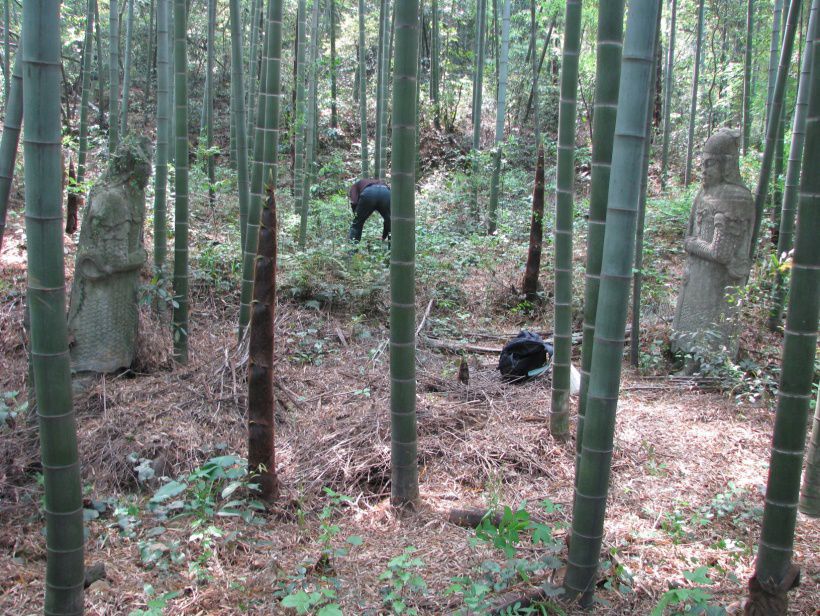 图10 马龙山宋墓全景.jpg 图10 马龙山宋墓全景.jpg