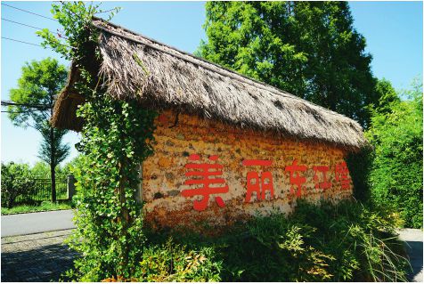 东江嘴(袁长渭 摄).jpg 东江嘴(袁长渭 摄).jpg