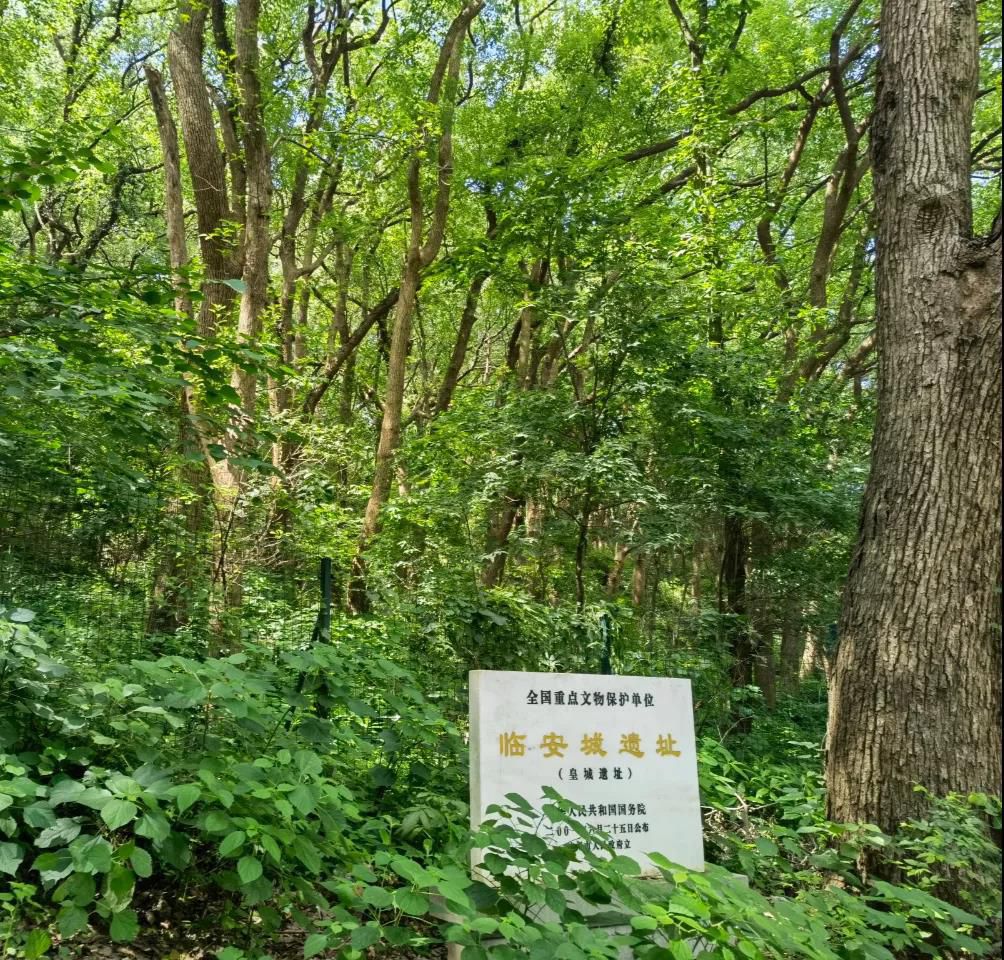 微信图片_20210713093100.jpg 微信图片_20210713093100.jpg