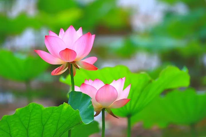 微信图片_20210906101125.jpg 微信图片_20210906101125.jpg