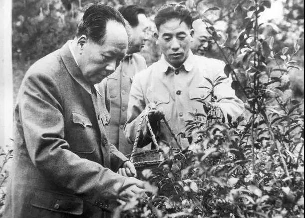 微信图片_20211216104628.jpg 微信图片_20211216104628.jpg