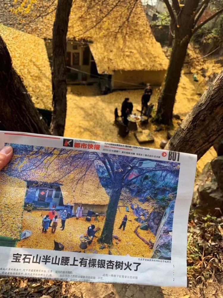 微信图片_20211229102449.jpg 微信图片_20211229102449.jpg