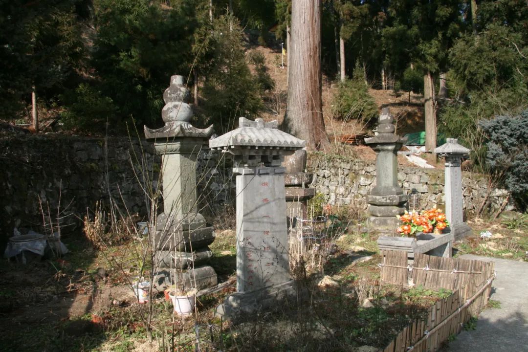 微信图片_20220331105823.jpg 微信图片_20220331105823.jpg