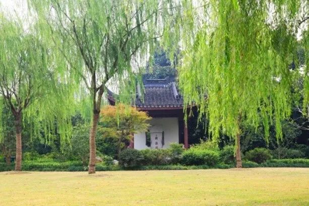 微信图片_20220415101344.jpg 微信图片_20220415101344.jpg