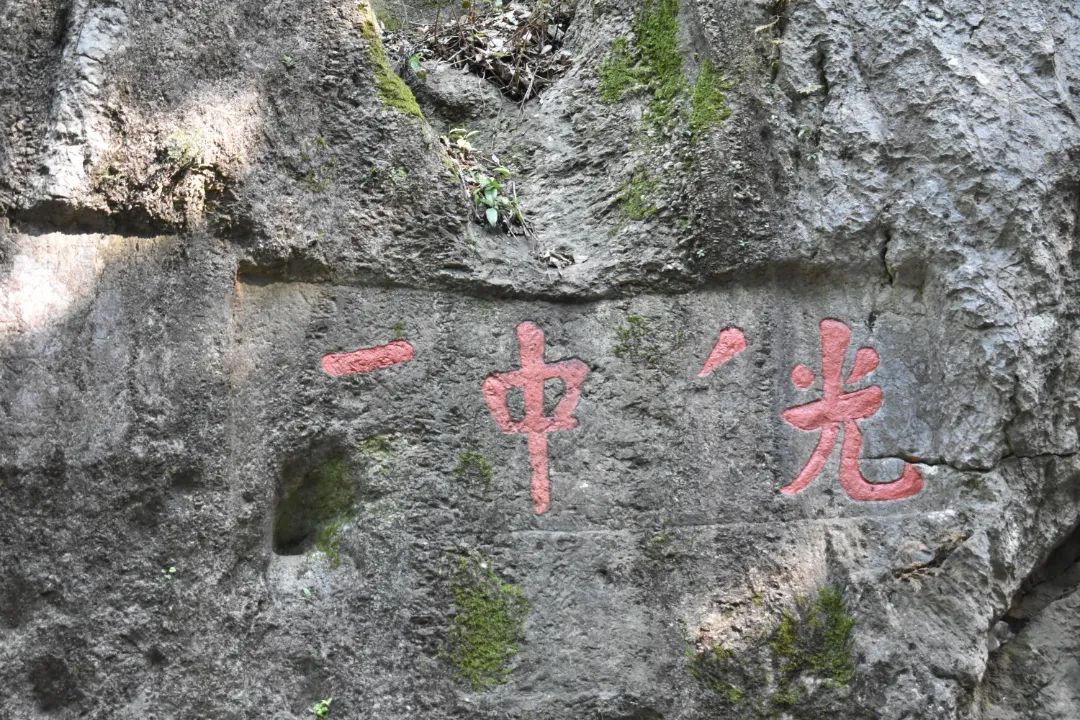 微信图片_20220427101505.jpg 微信图片_20220427101505.jpg