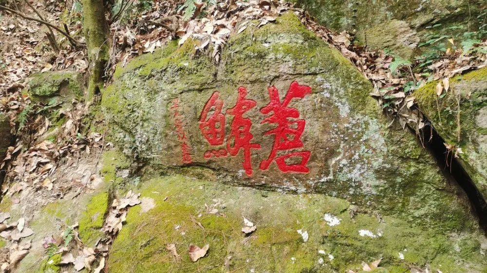 微信图片_20220506112114.jpg 微信图片_20220506112114.jpg