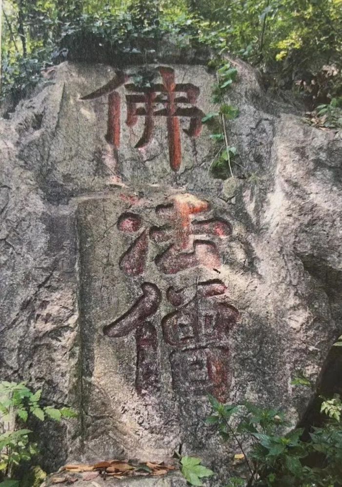 微信图片_20220608101849.jpg 微信图片_20220608101849.jpg