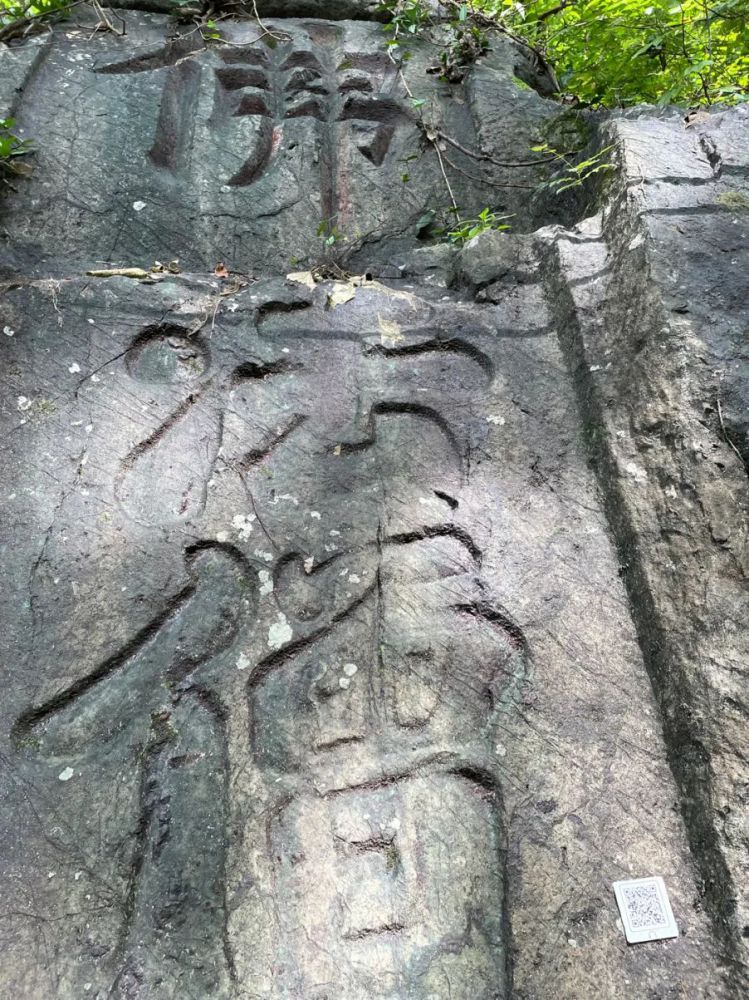 微信图片_20220608101853.jpg 微信图片_20220608101853.jpg