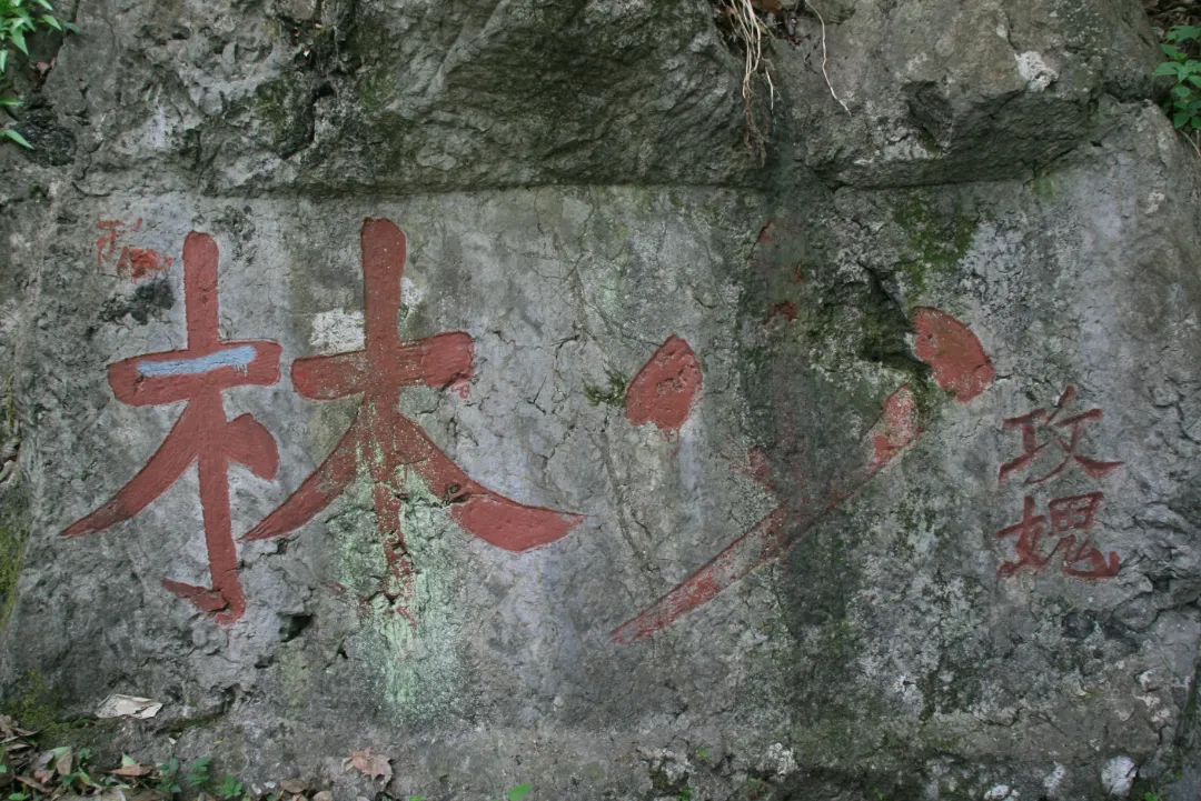 微信图片_20220721102944.jpg 微信图片_20220721102944.jpg