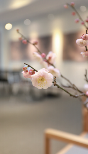 微信图片_20220819104215.png 微信图片_20220819104215.png