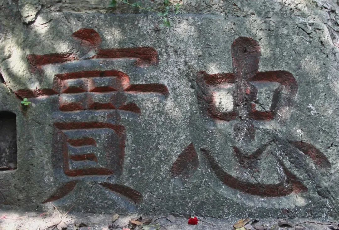 微信图片_20220824100542.jpg 微信图片_20220824100542.jpg
