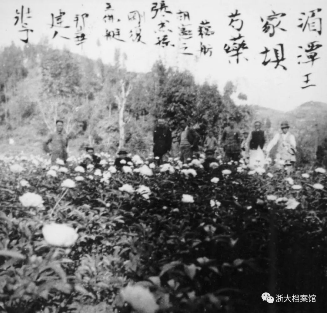 微信图片_20221115110454.jpg 微信图片_20221115110454.jpg