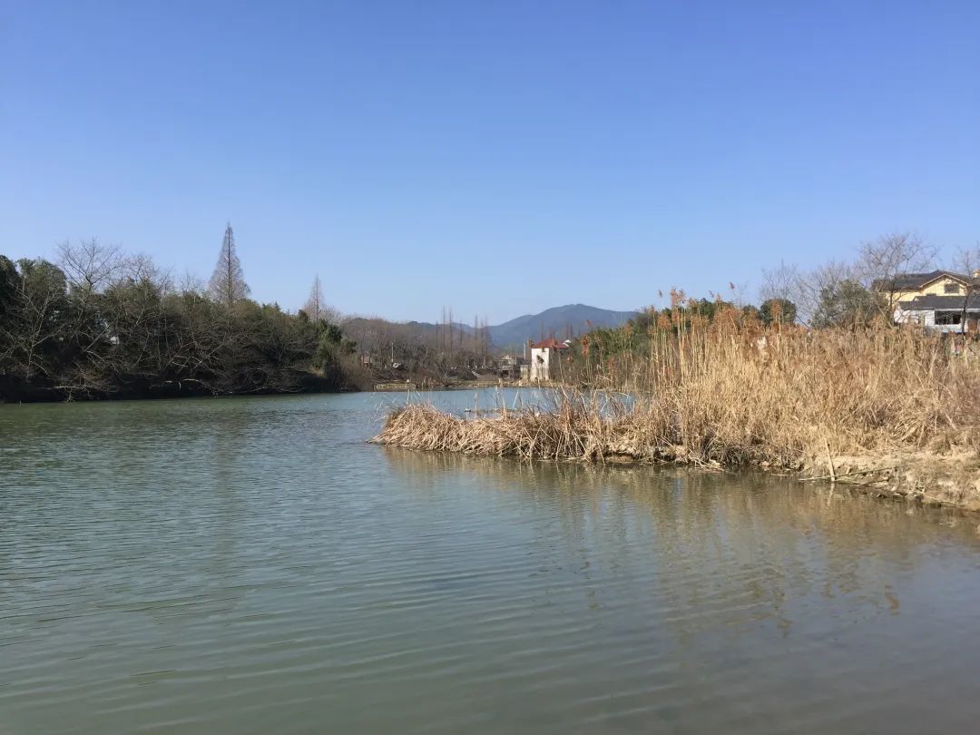 微信图片_20221201142640.jpg 微信图片_20221201142640.jpg
