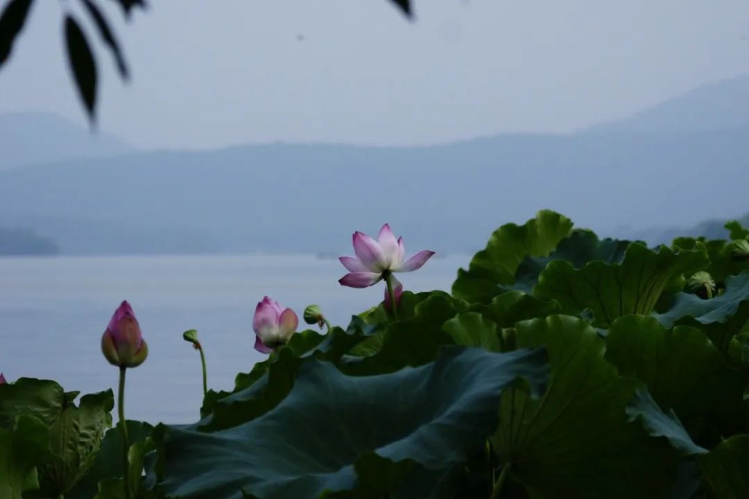 微信图片_20221206101212.jpg 微信图片_20221206101212.jpg