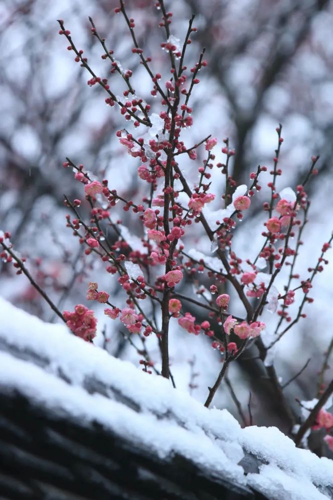 微信图片_20221206101248.jpg 微信图片_20221206101248.jpg