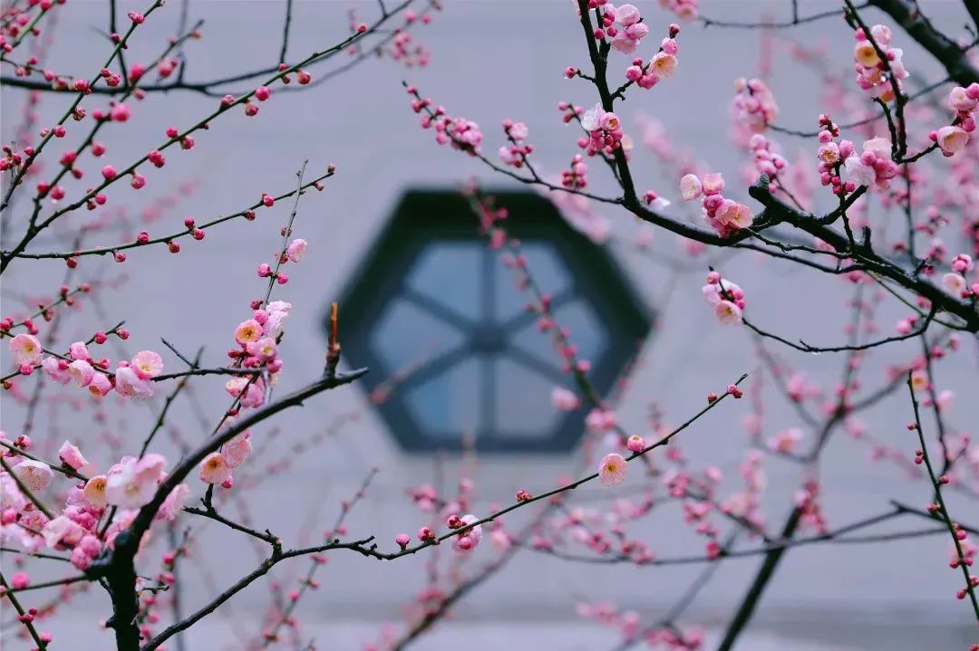 微信图片_20221206101251.jpg 微信图片_20221206101251.jpg