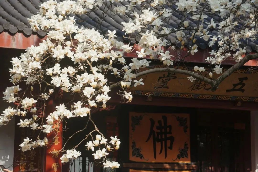 微信图片_20221206101254.jpg 微信图片_20221206101254.jpg