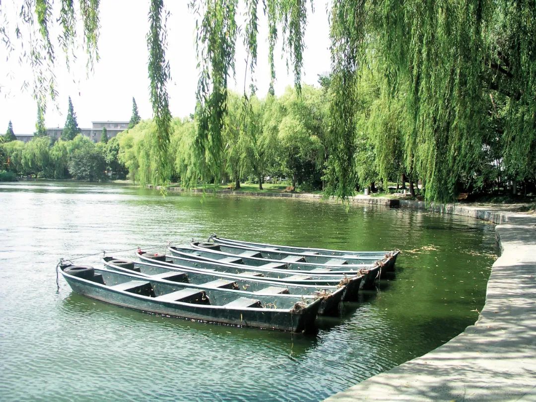 微信图片_20230103111932.jpg 微信图片_20230103111932.jpg