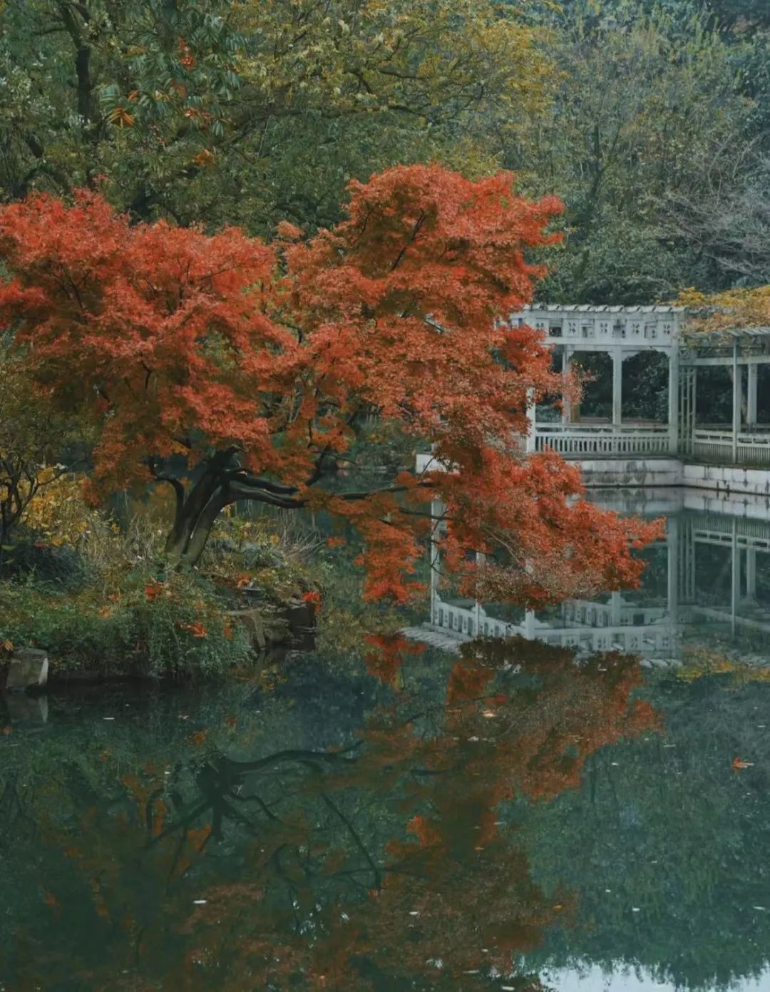 微信图片_20230113094715.jpg 微信图片_20230113094715.jpg