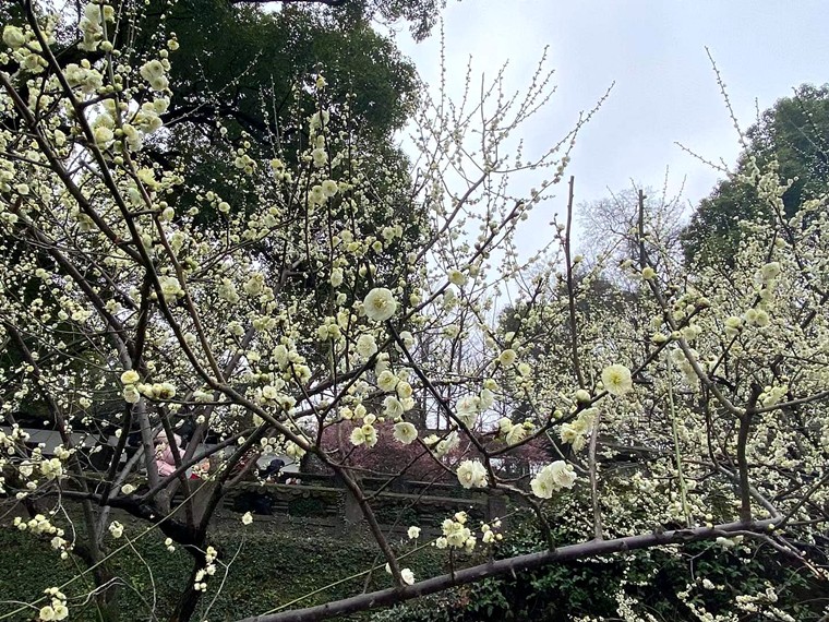 微信图片_20230118164127.jpg 微信图片_20230118164127.jpg
