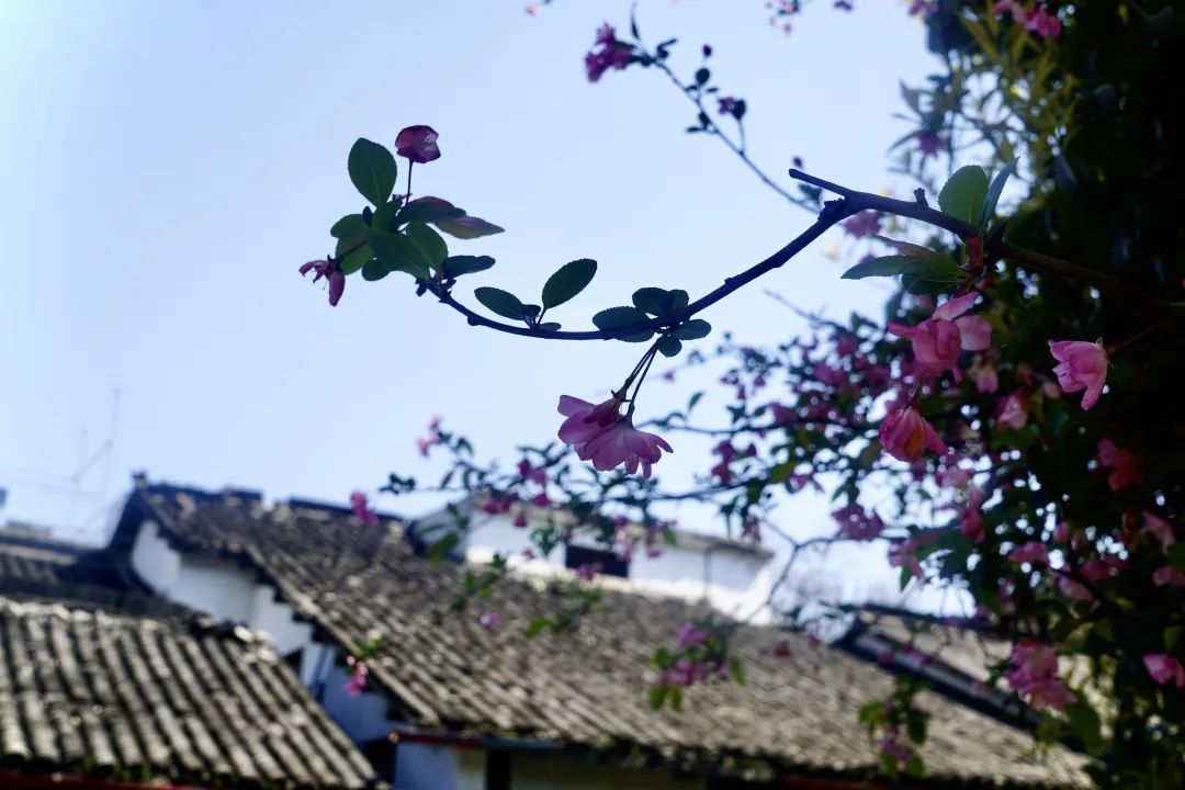 微信图片_20230404101932.jpg 微信图片_20230404101932.jpg