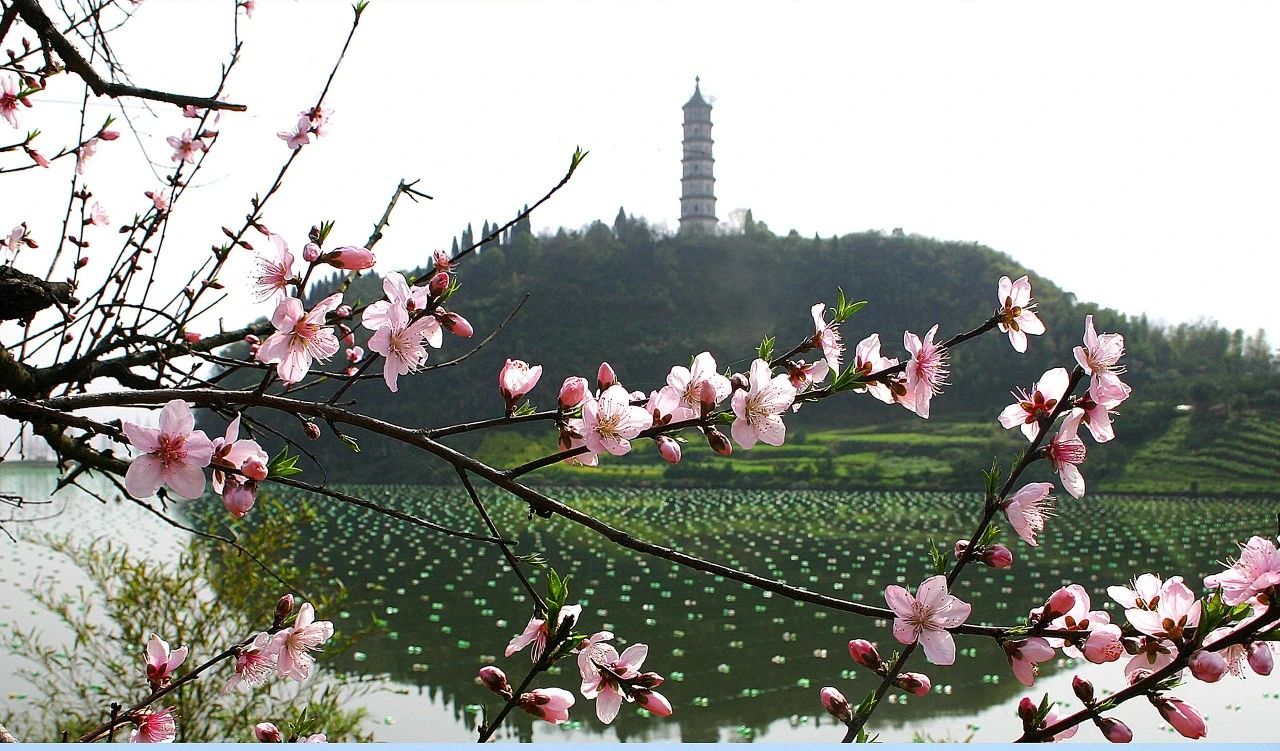 微信图片_20230412101003.jpg 微信图片_20230412101003.jpg