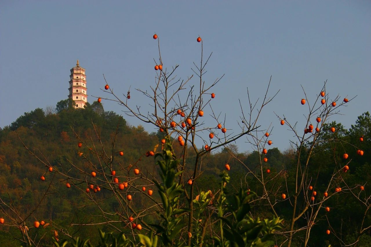 微信图片_20230412101018.jpg 微信图片_20230412101018.jpg