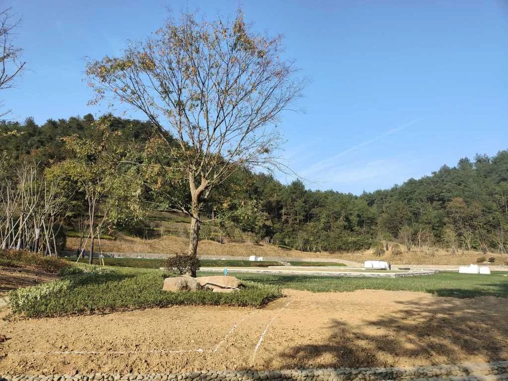 微信图片_20230413101013.jpg 微信图片_20230413101013.jpg