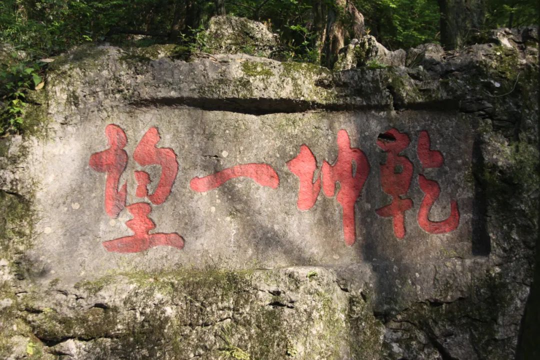 微信图片_20230418101728.jpg 微信图片_20230418101728.jpg