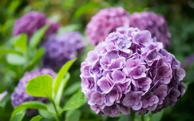 f3d3572c11dfa9ecce8c2d46e3fce10f908fc1fd.webp.jpg f3d3572c11dfa9ecce8c2d46e3fce10f908fc1fd.webp.jpg