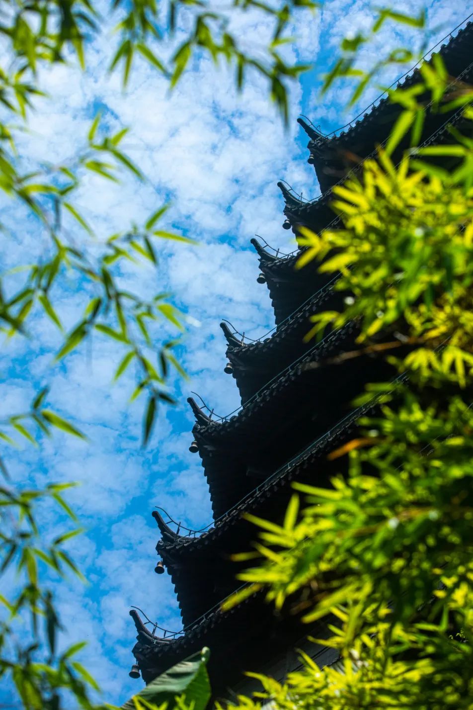 微信图片_20230707101548.jpg 微信图片_20230707101548.jpg