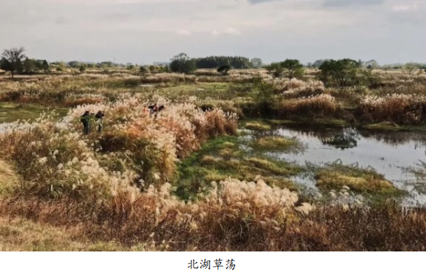 微信图片_20230713193957.png 微信图片_20230713193957.png