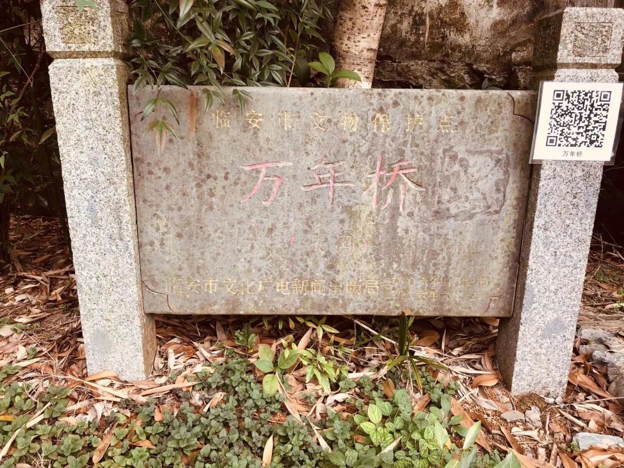 微信图片_20230714100316.jpg 微信图片_20230714100316.jpg
