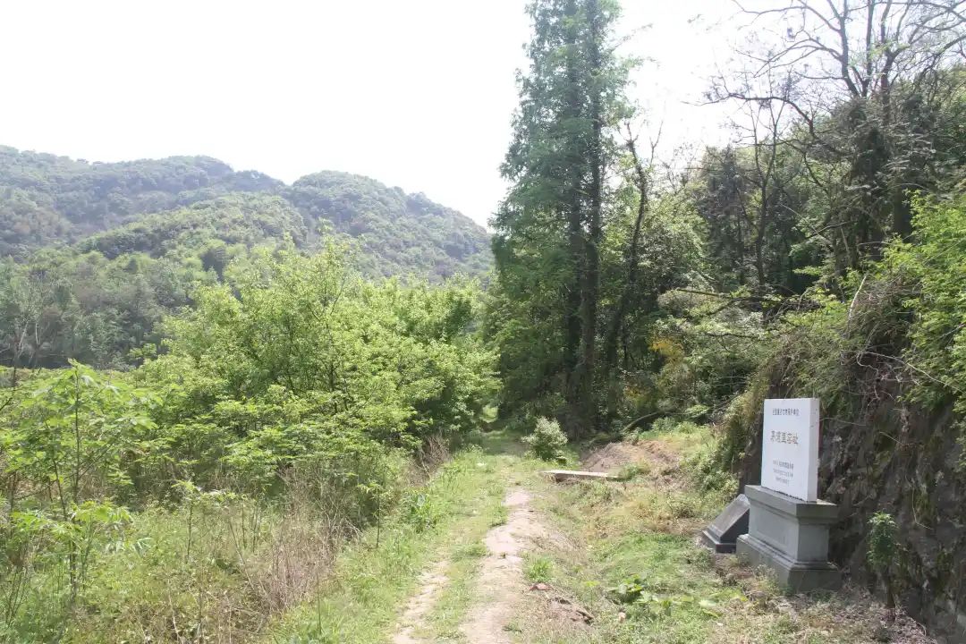 微信图片_20230802113134.jpg 微信图片_20230802113134.jpg