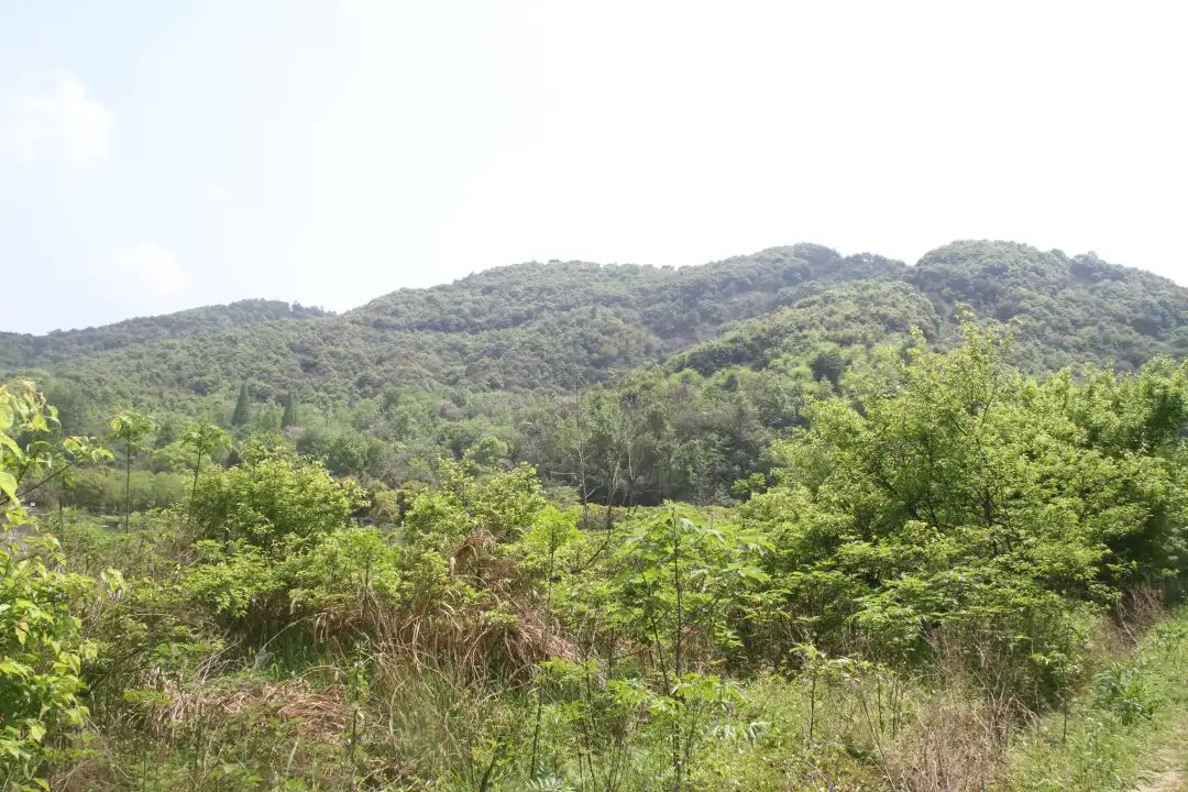 微信图片_20230802113139.jpg 微信图片_20230802113139.jpg