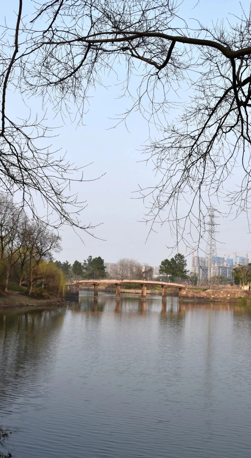微信图片_20230804101806.jpg 微信图片_20230804101806.jpg
