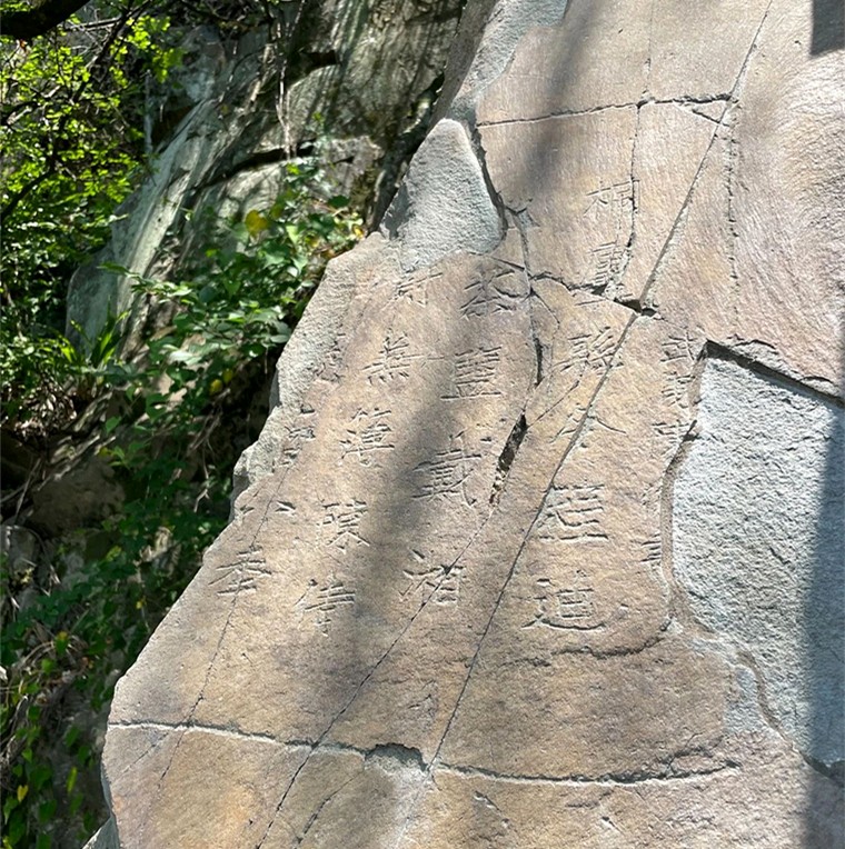 4c76ae70-e88e-440d-9de2-2edddf690791.jpg 4c76ae70-e88e-440d-9de2-2edddf690791.jpg