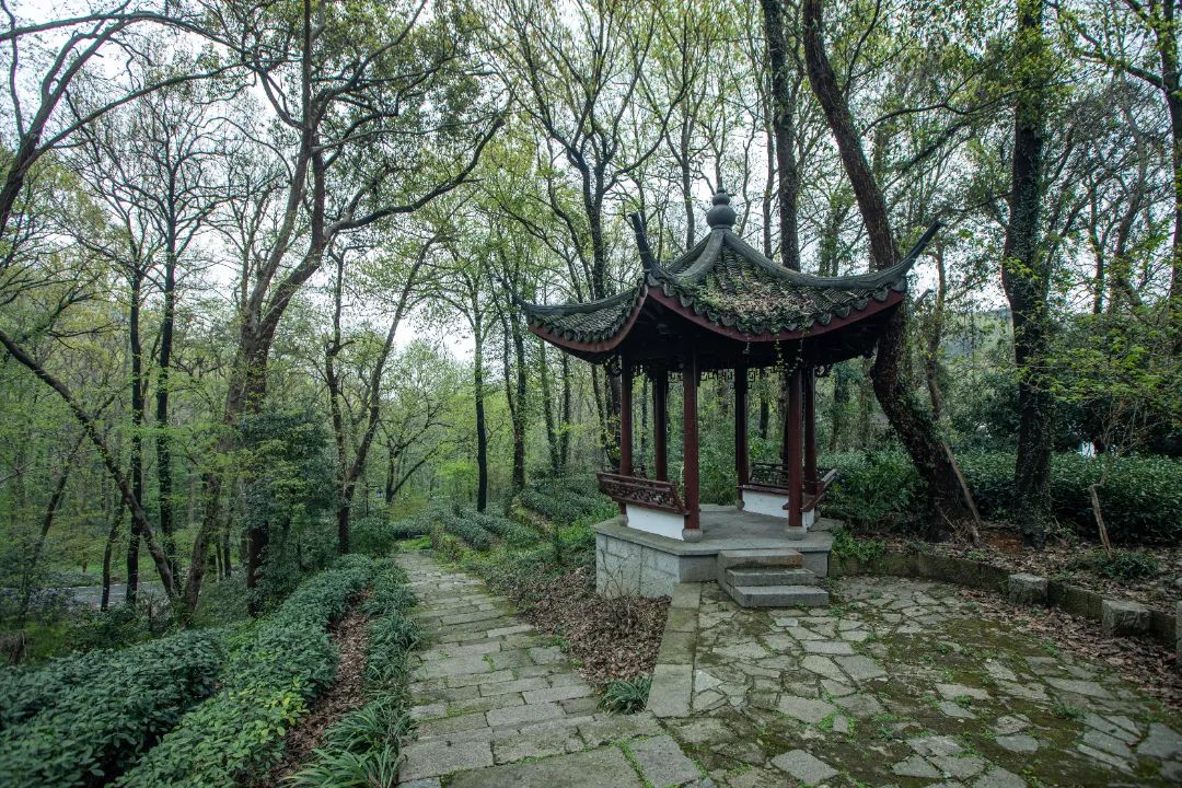 微信图片_20230825114844.jpg 微信图片_20230825114844.jpg