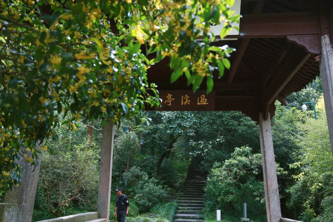 微信图片_20230825114844_1.jpg 微信图片_20230825114844_1.jpg