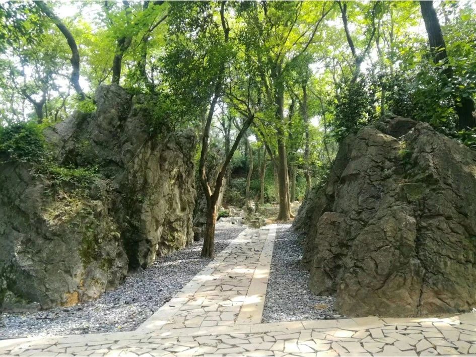 微信图片_20230906151229.jpg 微信图片_20230906151229.jpg